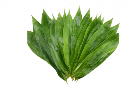 粽叶煮好后要马上拿出来吗