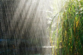 2022夏至下雨好还是天晴好