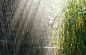 2022夏至下雨好还是天晴好