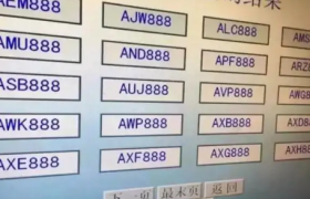 刚选车牌号能注销重选吗