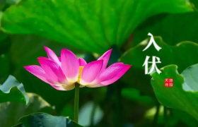 2022年入伏是几月几号几点几分