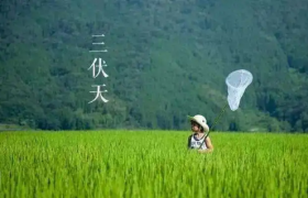 2022年三伏天是几月份到几月份