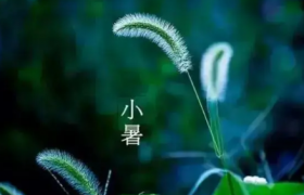小暑节气下雨好还是出太阳好