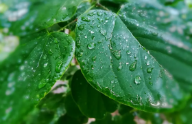 2020年下半年雨水是多还是少