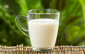 最接近母乳的奶粉是羊奶还是牛奶