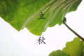 2022年是上午立秋还是下午立秋