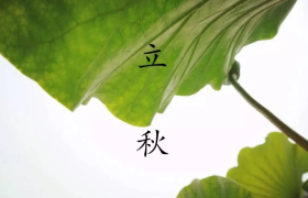 2022年是上午立秋还是下午立秋