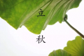 2022年立秋是几伏