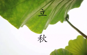 2022年立秋是几伏