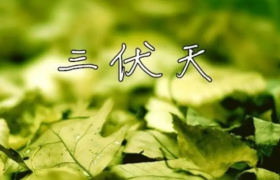 2022年三伏天吃什么最好