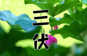 三伏天吹风扇好还是空调好