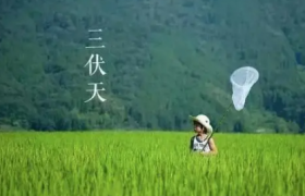 2022末伏天还热吗