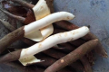 木薯怎么煮才没有毒