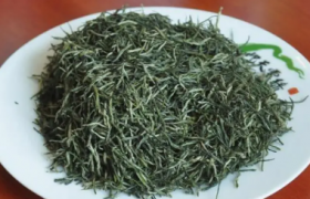 信阳毛尖是绿茶吗