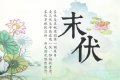 2022年末伏最后一天是几月几号