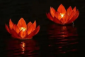 七夕节是观灯还是放莲花灯