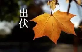 2022出伏是几月几号几点几分