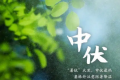 2022年二伏是几月几号哪一天