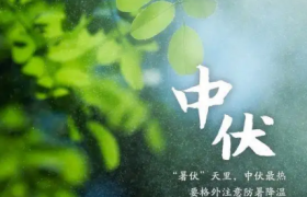 2022年二伏是几月几号哪一天