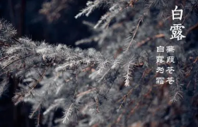 2022白露后多久开始冷
