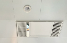 卫生间吊顶上老鼠会跑出来吗