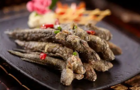 跳跳鱼的功效与作用