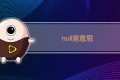 null啥意思
