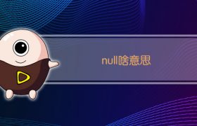 null啥意思