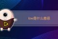 low是什么意思