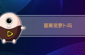 蔓菁是萝卜吗