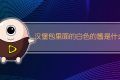 汉堡包里面的白色的酱是什么