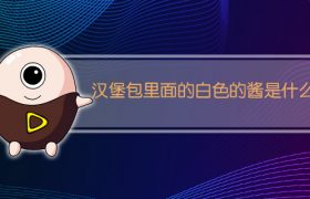 汉堡包里面的白色的酱是什么
