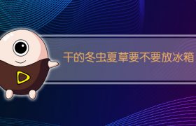 干的冬虫夏草要不要放冰箱