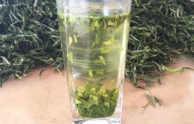 六安瓜片是什么茶