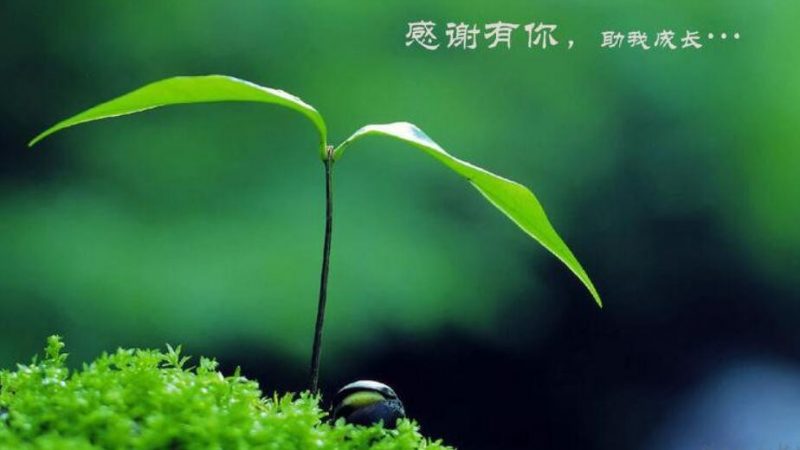 感谢朋友的句子有哪些