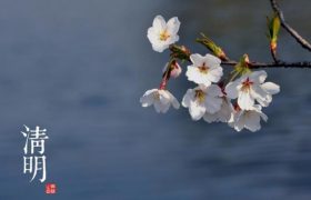 清明节有什么风俗