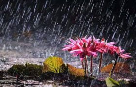 梅雨天气是什么时候