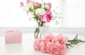 探病适合送什么花 探病送什么花比较好