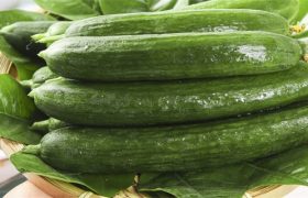 5-6月份的当季蔬菜有哪些 5-6月份的时令蔬菜