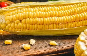 玉米须煮水煮几分钟 玉米须烧水要煮多久