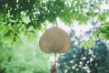 描写夏天优美的句子有哪些 关于夏天的优美句子