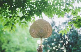 描写夏天优美的句子有哪些 关于夏天的优美句子