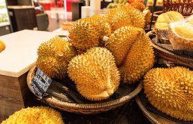 海南有榴莲吗 海南产榴莲吗